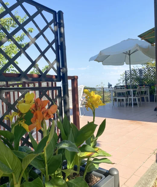 Investering & Feriebolig vs. MyHomes 03