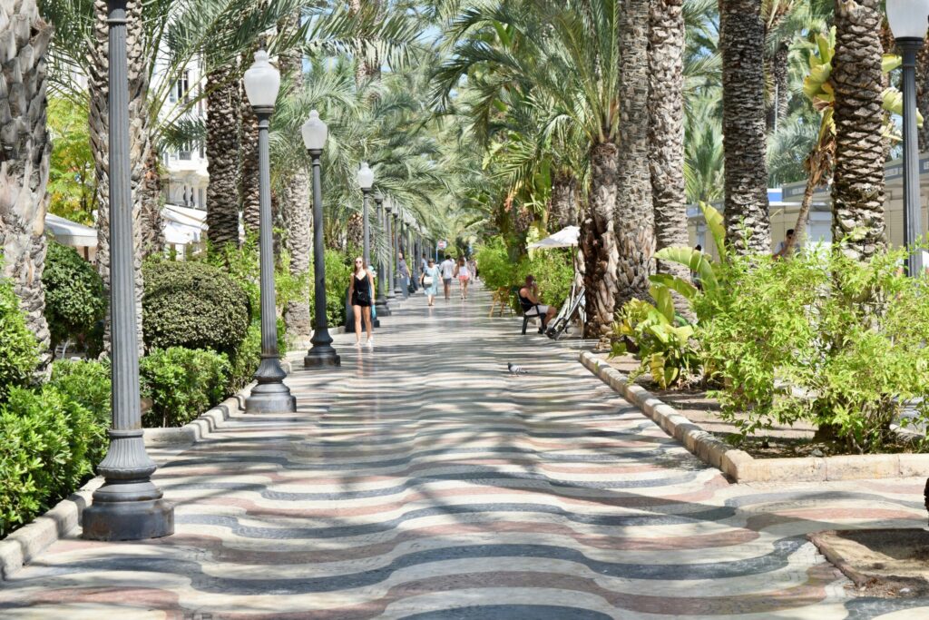 Bølgemønstret promenade i Alicante, omkranset af palmer og gadelamper.