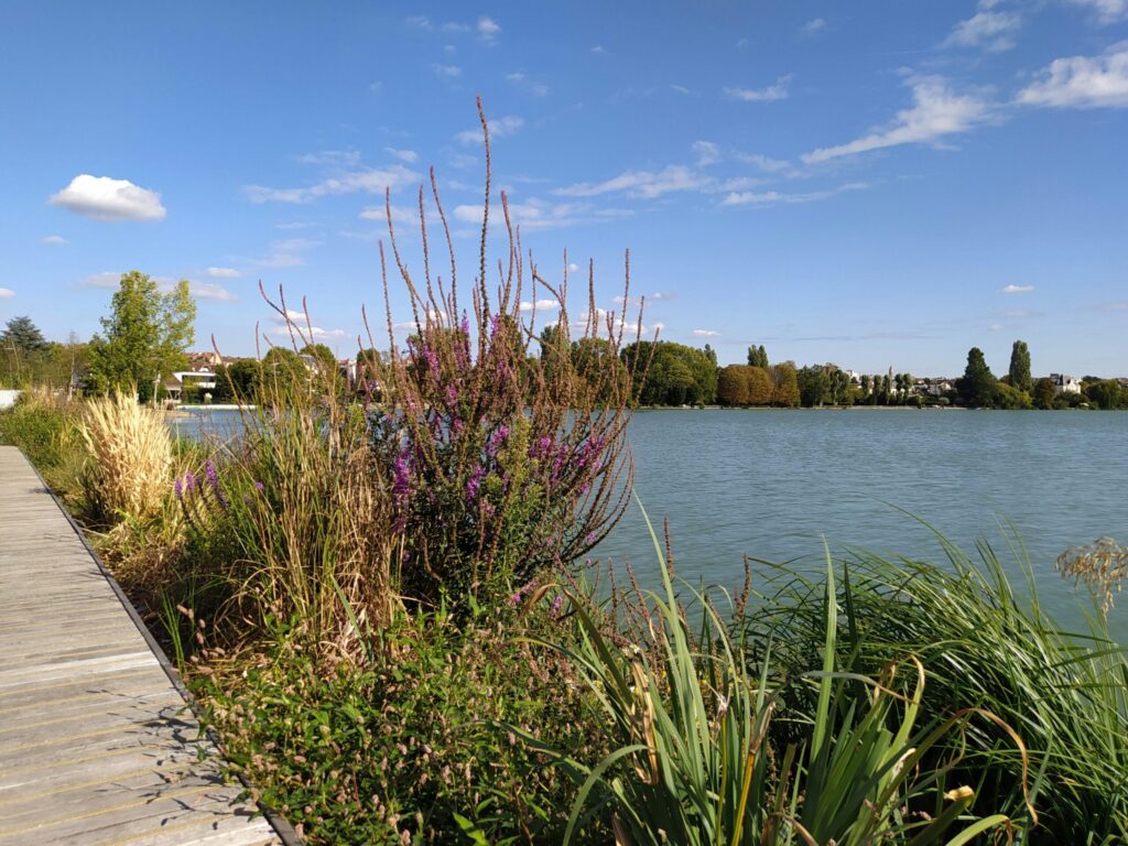 Rolig sø omgivet af grøn natur og by i horisonten.