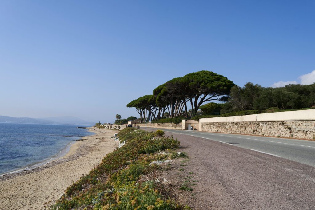 Sydfransk kystvej i Sainte-Maxime omgivet af strand, hav og grønne pinjetræer.